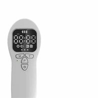 Kaltlasertherapie für Pferde