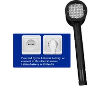 Lasertherapie für Pferde